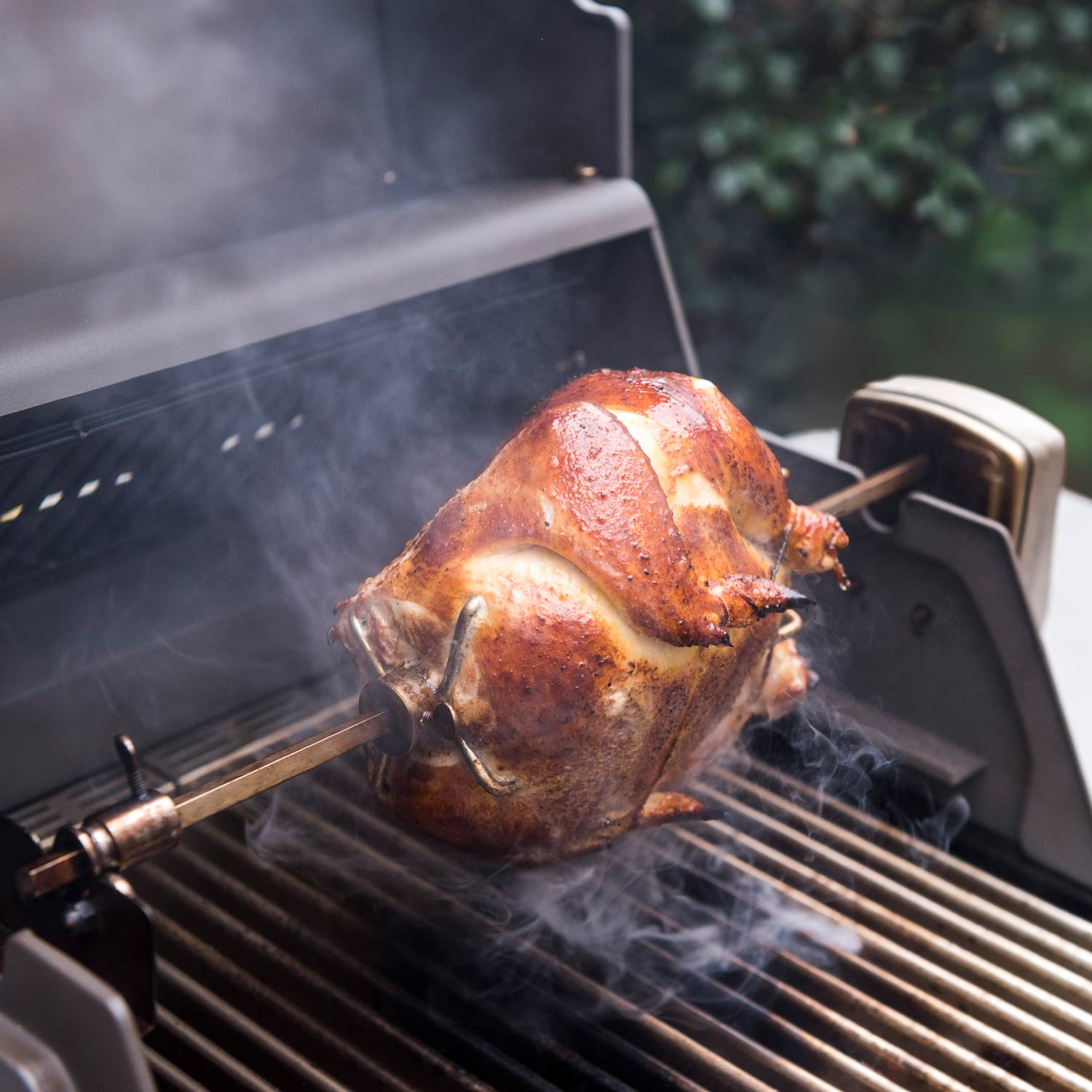 SABER® Rotisserie Kit with Case